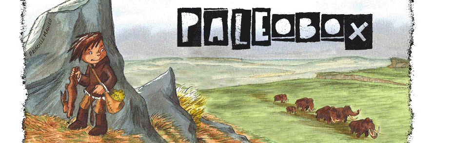 PaleoBox