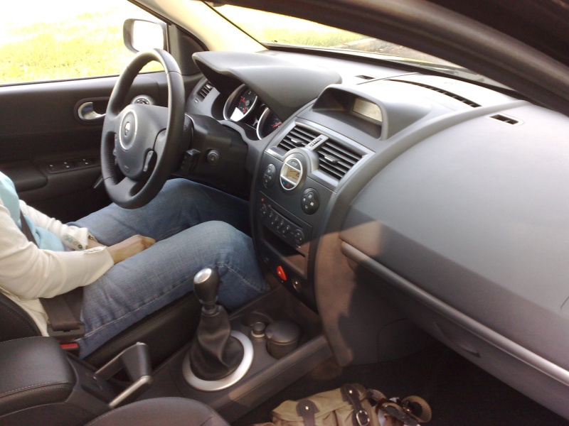 http://i46.servimg.com/u/f46/11/16/66/69/megane14.jpg