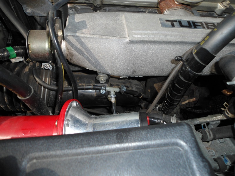 mano110.jpg