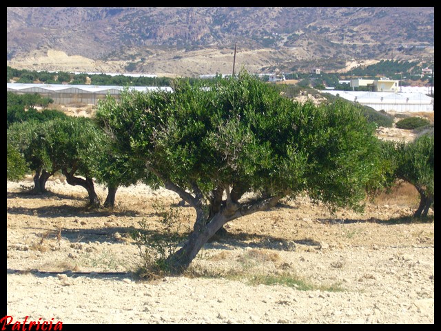 0110 dans paysages