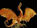 J'adors les dragons *.* J'adors les dragons *.*