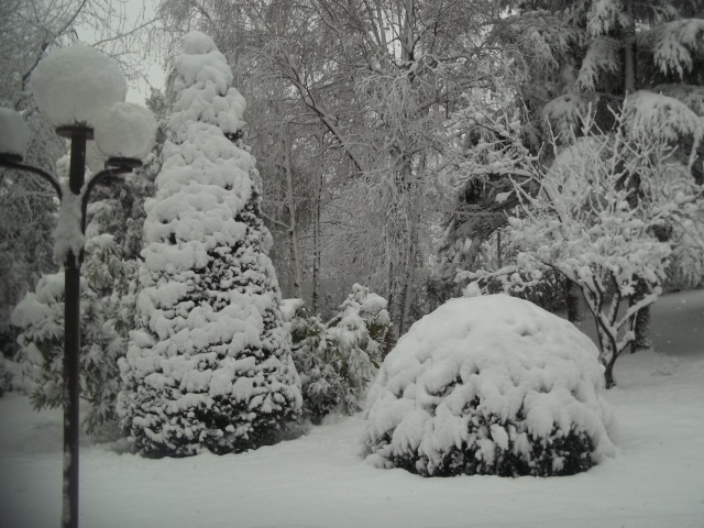 Poesie Gallery Parafrasi Della Poesia Cade La Neve