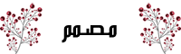 مصمم مصمم