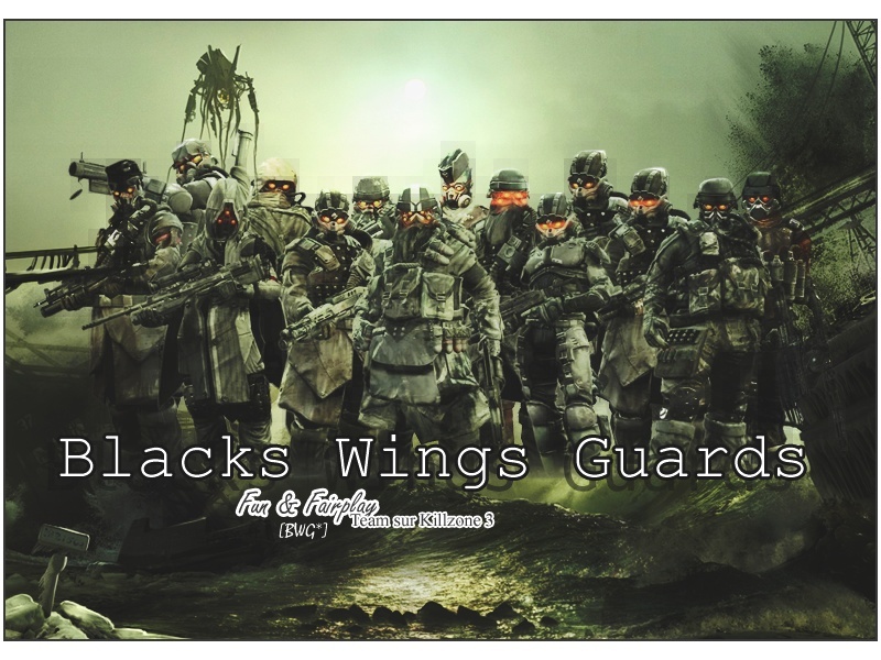 BLACKS WINGS GUARDS