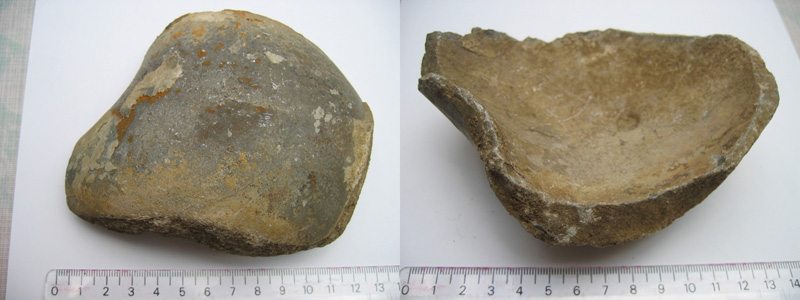 fossil28.jpg