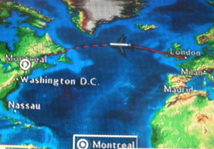 Blog de barzotti83 : Rikounet 83, Bien arrivé au Canada après un long voyage en avion