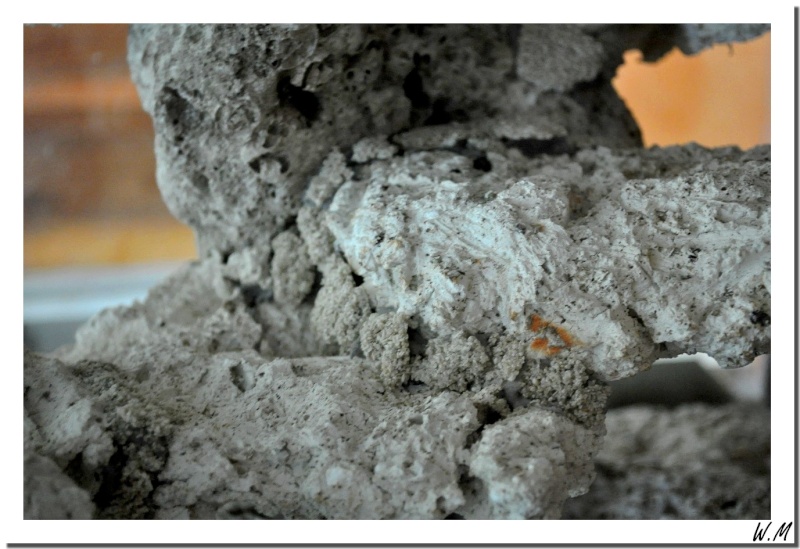 Le conditionnement des pierres vivantes - Vivant et maintenance - Cap  Récifal