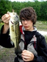 Black-Bass