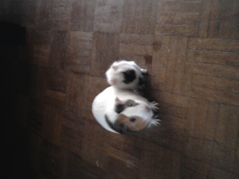 Imagem