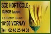 Image hébergée par servimg.com