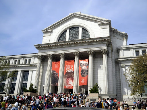 le musée national d’histoires naturelles washington dc