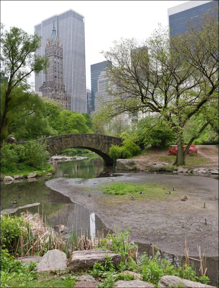 The Pond à Central Park aujourd'hui nyc new york