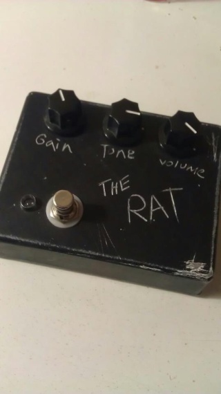 rat11.jpg