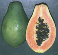 papaya10.jpg