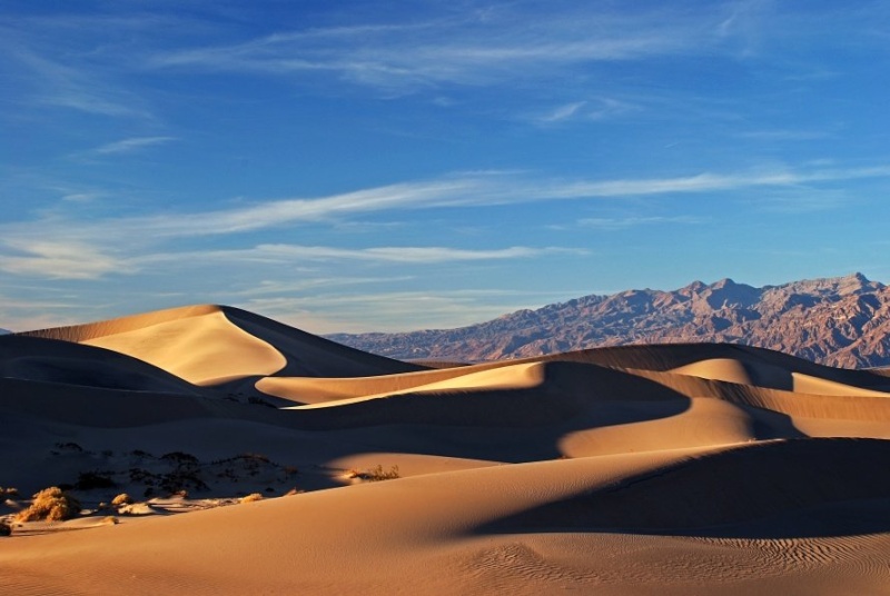 Desert world. Долина смерти Мохаве. Долины в пустыни. Самая большая пустыня в мире. Пустыня Долина смерти.