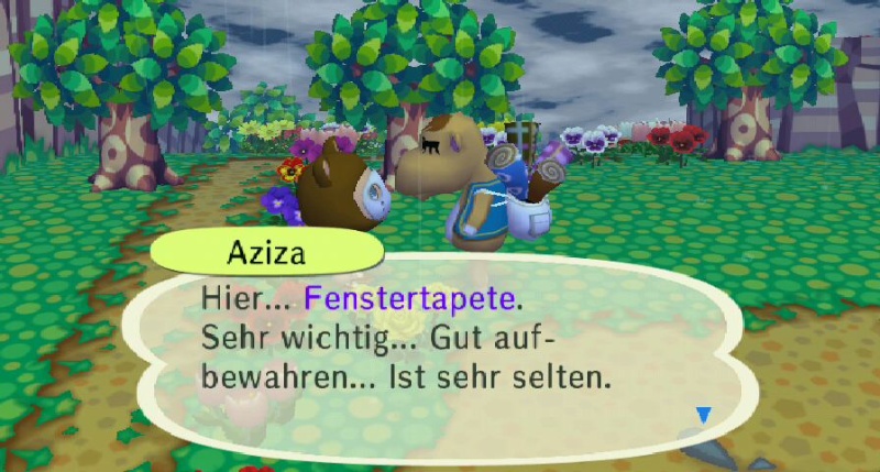 fenste10.jpg